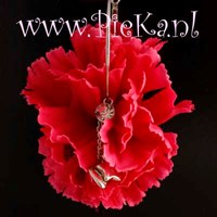 Bloemoorbel Hard Roze 70 mm...
