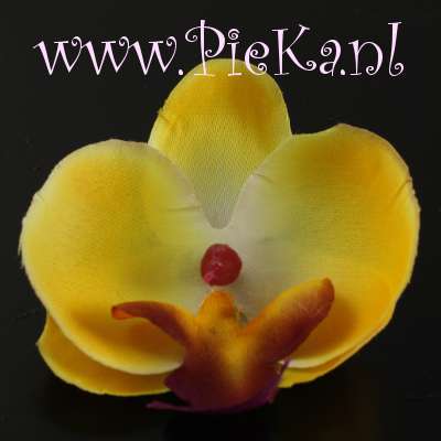 70 mm Zijden Bloem Orchidee Geel - Wit