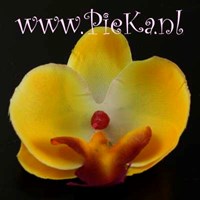 70 mm Zijden Bloem Orchidee...