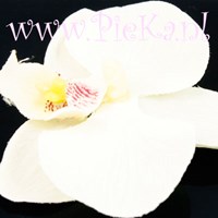 Zijden Orchidee 80 mm wit- ...